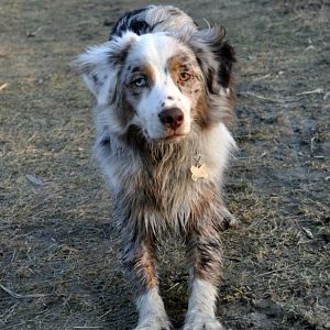 429057 3298713717099 1545572239 32925184 1388623407 n