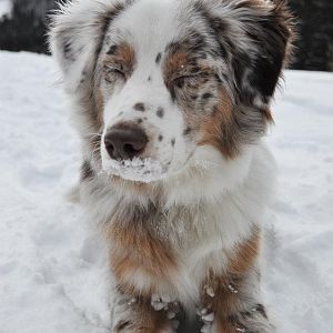 400258 2878205004644 1545572239 32777525 444019069 n