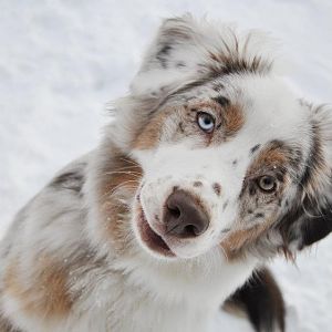 402971 2878204604634 1545572239 32777523 180287377 n