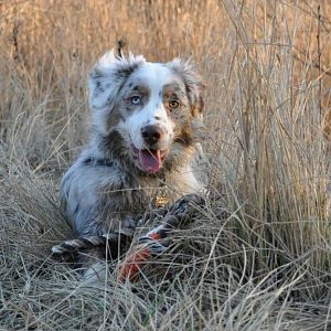 429783 3298709957005 1545572239 32925173 1111741628 n