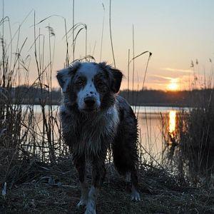 420469 3298726677423 1545572239 32925215 1750779876 n