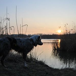 431715 3298722237312 1545572239 32925205 547192362 n