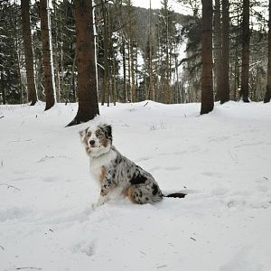 398405 2878197284451 1545572239 32777498 1300304948 n