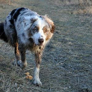 425918 3298708796976 1545572239 32925170 1587385363 n