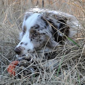 431582 3298710397016 1545572239 32925174 1498259831 n