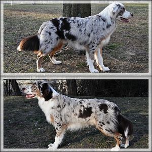 425848 3166326927512 1545572239 32877569 80911327 n