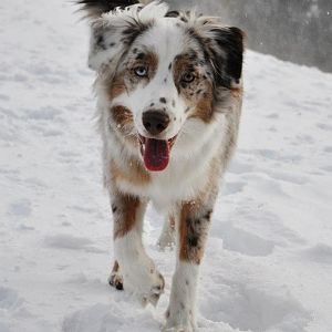 403086 2878201124547 1545572239 32777514 823266536 n