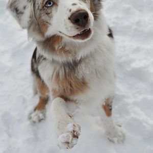 391079 2878204324627 1545572239 32777521 1889472246 n