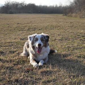 73164 1630718898271 1545572239 31545174 6384504 n