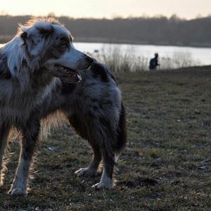 428315 3298717557195 1545572239 32925198 860765502 n