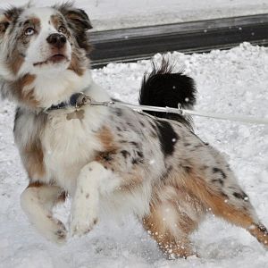 401175 2878161523557 1545572239 32777469 2047200369 n