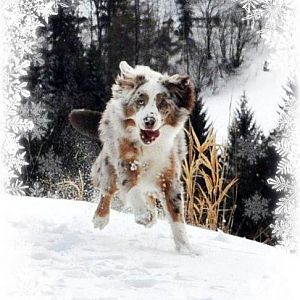 377781 2878205724662 15454572239 32777529 1364726415 n