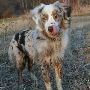 419795 3298716757175 1545572239 32925194 1376056112 n