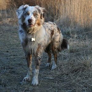 429686 3298707516944 1545572239 32925166 2081097239 n