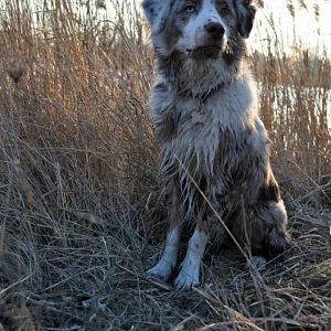 421584 3298701036782 1545572239 32925148 288876386 n