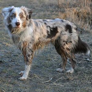 64140 3298705156885 1545572239 32925161 784608308 n