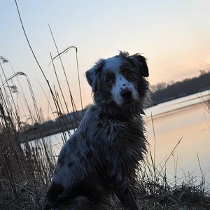 422847 3298724797376 1545572239 32925211 770089304 n