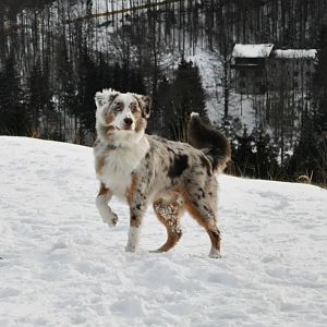 379498 2878215084896 1545572239 32777540 1529995267 n