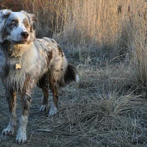 419867 3298706676923 1545572239 32925164 745674948 n