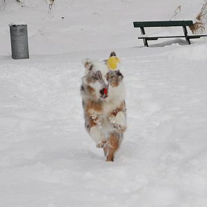 395336 2878202804589 1545572239 32777518 1849810218 n