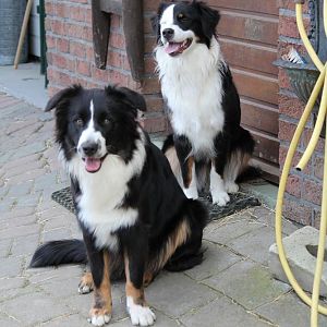 joschi und bounty 129