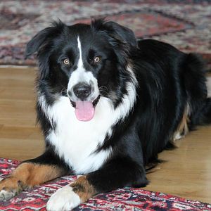 joschi und bounty 138