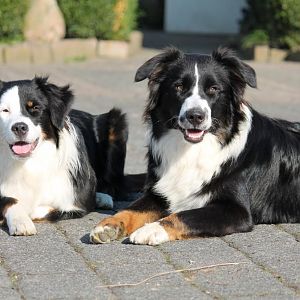 joschi und bounty 168