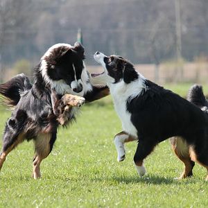 joschi und bounty 097