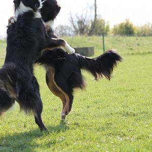 joschi und bounty 077