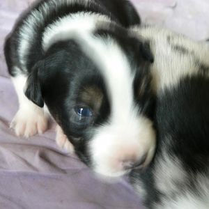 Tyler schnüffelt *.*