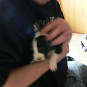 Erste Schmusestunde!