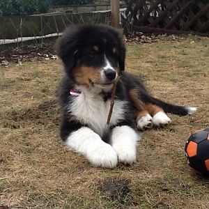 Paul 003 (03.03.2012)