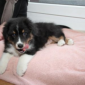 Paul 001 (30.01.2012)