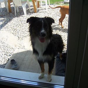 Warum lässt mich keiner rein?