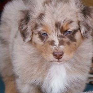 der süße Schnuckel