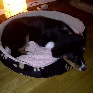 Paul 012: nach getaner Arbeit....