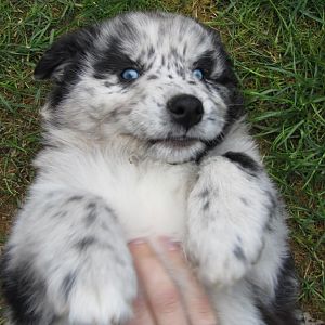 Lieblingswochenendbild