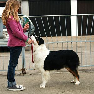 Heavenly Stars - Another Girl - Grace