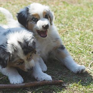 Maggy und ihre Schwester Baroness