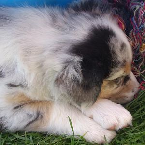 Heute gaaaanz verschlafen.