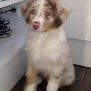 398573 2724605718003 1948099643 n