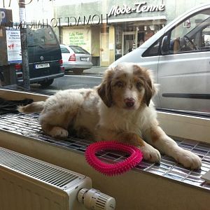 425554 2722226098514 1225407686 n