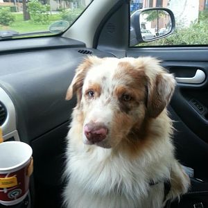 550877 3623295836143 1278173692 n