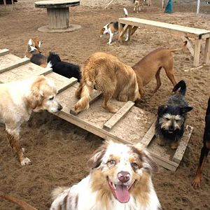 945567 628841260478176 642303027 n