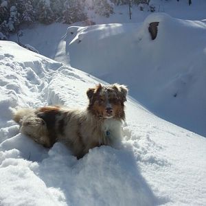 In den BergenIMG 20130211 WA0000