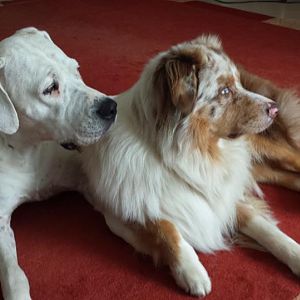 1013777 4589915881040 265688868 n