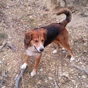 Hoch oben im Wald ^^