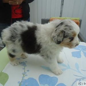 Die andere Seite. ^^