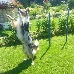 Momentaufnahme   243