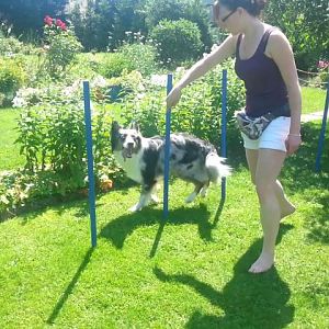 Momentaufnahme   230